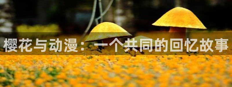 动漫天堂在线观看