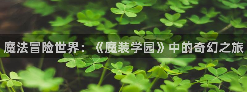动漫天堂官方正版下载